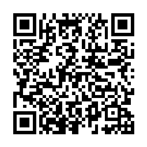 而他又不小心被红衭中下了一种他连名字都不知道的蛊毒二维码生成