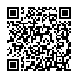 而他对于角色的过度挖掘更会影响我的拍摄节奏二维码生成