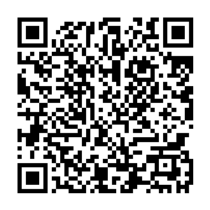 而他手上的火折子无法点燃树人的头冠枝叶这点似乎更让他怒火高涨二维码生成