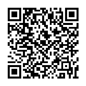 而他把所有的爱情和关心都给了言左左那个贱人二维码生成