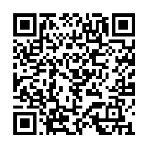 而他拳头指缝间闪动着星星点点的璀璨原力光芒二维码生成