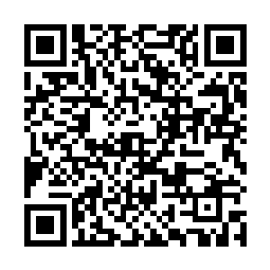 而他整个人则已经如同离铉的箭一般朝着猴子冲了过去二维码生成