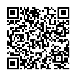 而他每天要抵挡狂风暴雨一般的光团攻击超过六个小时二维码生成