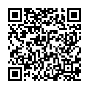 而他现在只不过是一个酒吧再普通不过的服务生二维码生成