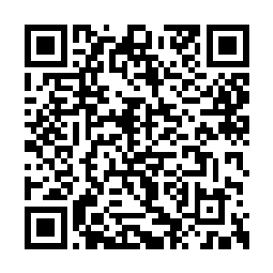 而他的盟友就是绿色和平组织和海洋守护者协会二维码生成