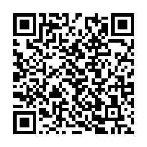 而他的话引得狗腿们不怀好意地盯着张东城的屁股二维码生成