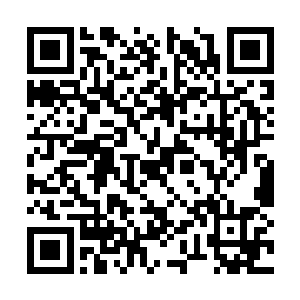 而他给下面这些人的是源源不断的力量和不死之身二维码生成