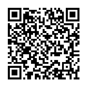 而他自己就能腾出手来对付四大家族的皇牌舰队二维码生成