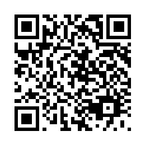 而他身后很快出来几个巡逻队的队员二维码生成