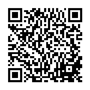 而他身后站着的佩戴VIP标牌的服务生则全部是高级分区餐厅经理二维码生成