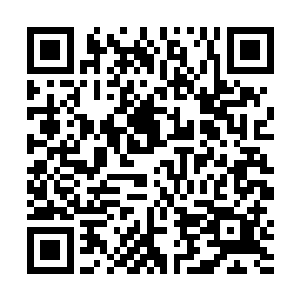 而他身边正不断地有着各色的美女在向着她投怀送抱着二维码生成