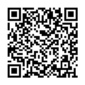 而他身边的邵丽红显然也被眼前的一幕给惊住了二维码生成