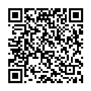 而他这个出主意的人绝对不会龟缩在许家族地不出来二维码生成