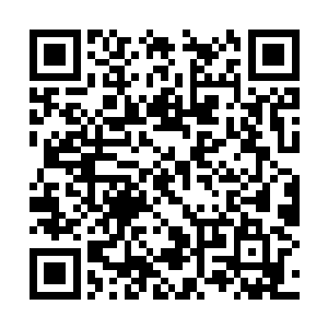 而他通过碧羽仙藤传输到南宫流星身体里的那根线二维码生成