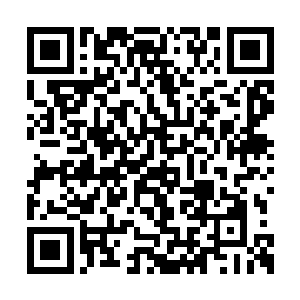 而仙山中早就注意到的仙人们见状也收回了目光二维码生成