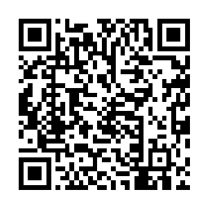 而代价就是他发誓要守护那个可怜虫一心想要守护的东西二维码生成