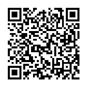 而以客人的身份坐在一旁的百里尾生也眯眼看向梦老五二维码生成