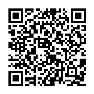 而仲神侍提到这行无角人只带了一个小孩的事情二维码生成