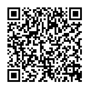 而伊莉莎白的眼睛里依旧有无法掩饰的错愕――又或者是她根本就不想掩饰二维码生成
