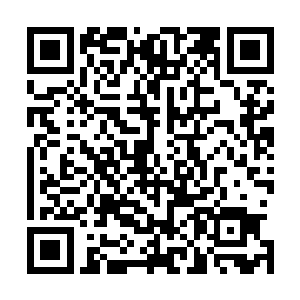 而众人也反应过来刚刚感觉到了兰鑫仙人的那丝不对是什么二维码生成