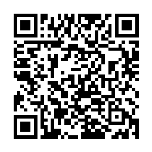 而众道医刚开始还没有明白过来孙子轩的话是什么意思二维码生成
