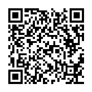 而优秀的教师队伍却不是一天两天就能培养出来的二维码生成