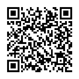 而伴随着这些血丝将那炼雀柱和雀皇殿链接在一起二维码生成