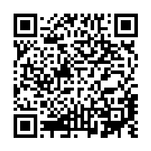 而似人非人则体现在他身后的一对与大褂同色的蓝灰色翅膀二维码生成