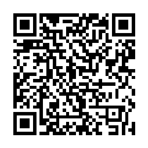 而余下的中小宗门是在北地神机宗的领导下负责北方二维码生成