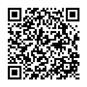 而余者包括四海宫的四位宫主在内都像是众星拱月般地簇拥着他二维码生成