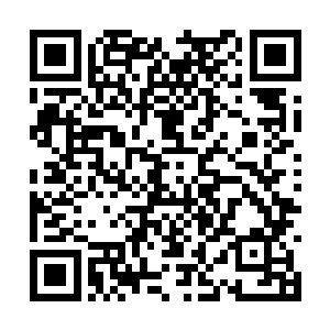 而作为中京最大赌场老板看着疯狂压涂天胜的赌注二维码生成