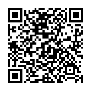 而作为当事人的秦宇和两位仙王强者却始终没有在地球现身二维码生成