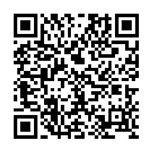 而作为政府负责人往往也是外界评判一级政府信誉度的关键因素二维码生成