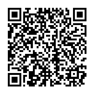 而作为歌手的小猪和黄鸿升则是震惊于金在珉的唱功和舞台感染力二维码生成