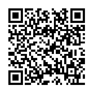 而作为陆禹的贴身侍卫的何泽这些天一直笑眯眯的二维码生成