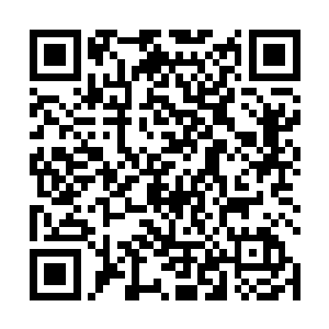 而你和维杰里先生曾经的婚姻关系不会干扰你们的合作二维码生成