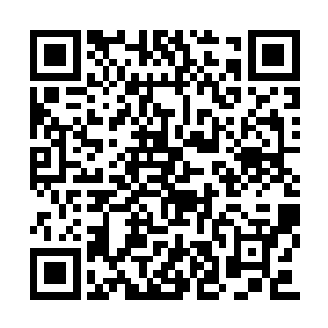 而你父亲又是修炼铁拳之道达到五星海洋的高手二维码生成