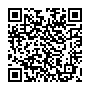 而依旧处在恐惧中的人群以及那几十具死状统一的尸体二维码生成