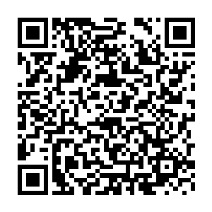 而俑鸟的灵智和战斗能力则是依照在制作时候注入的精血数量而决定的二维码生成