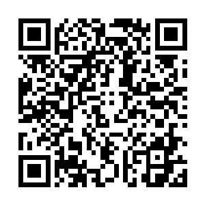 而假如屋里的是别人……这只蝙蝠没准就能引蛇出洞了二维码生成