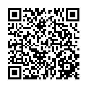 而做为比赛场地的天战峰已经彻底控制不住炸开了锅二维码生成
