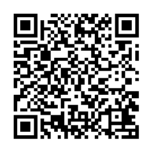 而储物袋里就有一大堆之前从飞宇密境里找到的神符二维码生成