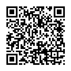 而像是一个在战场上习惯了生死的老兵在搏命一样二维码生成