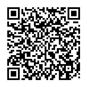 而元老们严格而系统的家教似乎对乔舒亚并没有对乔舒亚起到什么特别的作用二维码生成