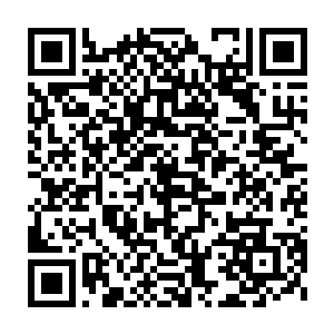 而元辰夕指着的那一根钢筋却一点都不像被剪断或是被什么敲断的二维码生成