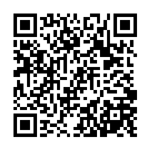 而充满东欧风情的卡德拉科娃也成功让人们眼前一亮二维码生成