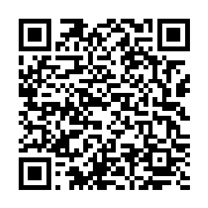 而先前天翼神虎的一吼之力已经让几十名参赛者形神俱灭了二维码生成