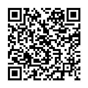 而公司当初签下五行吾素这五个姐妹的时候制定的发展策略二维码生成