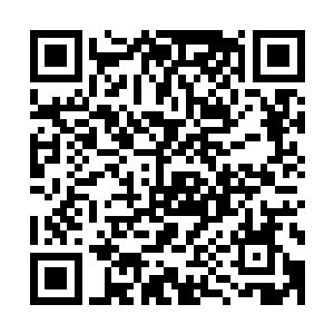 而关于青云石阶更是有两位进入过君王殿的仙王强者都提到过二维码生成