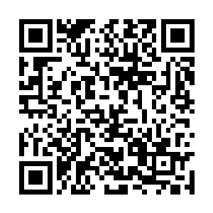 而其中光是界主强者的数量便已经超过了上千之数二维码生成